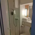 Ibis